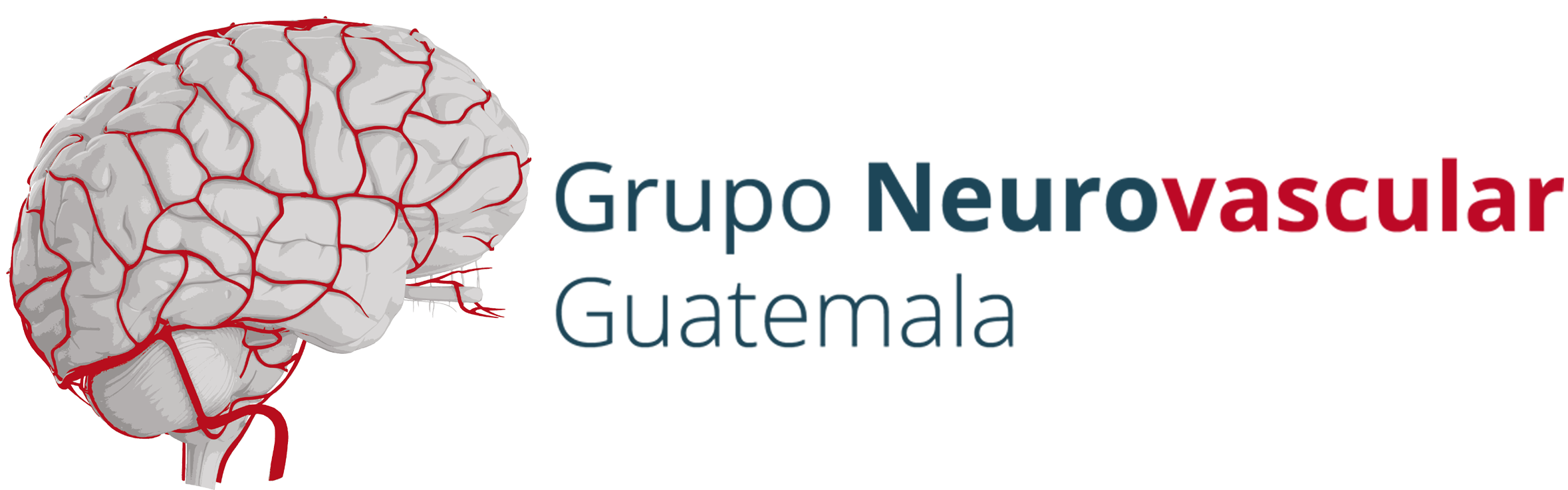 Grupo Neuro Vascular